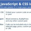 Custom-JavaScript-&-CSS-in-Pages-GPLTop