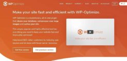 WP-Optimize-Premium-WordPress-Plugin-GPLTop