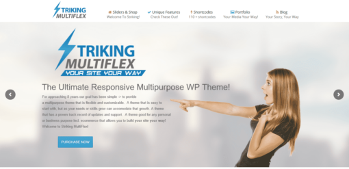 Striking-Multiflex-1.2.9.7