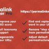 Permalink-Manager-Pro-gpltop