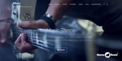 Themify-Music-WordPress-Theme-Activation-gpltop