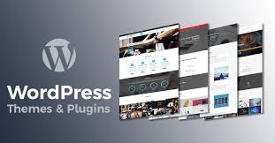 themes-and-plugins