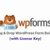 WFroms-original-license